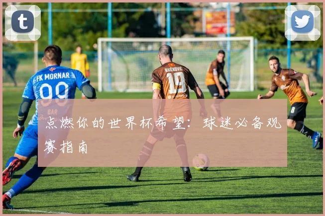 点燃你的世界杯希望：球迷必备观赛指南