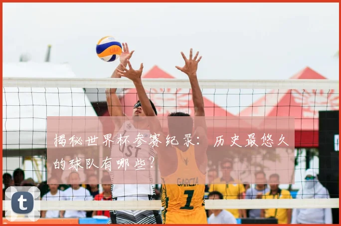 揭秘世界杯参赛纪录:历史最悠久的球队有哪些?
