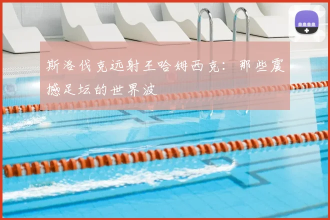 斯洛伐克远射王哈姆西克：那些震撼足坛的世界波